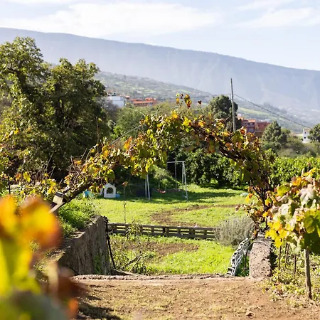 Ek Vistas El Milagro La Orotava
