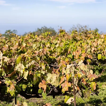 Ek Vistas El Milagro