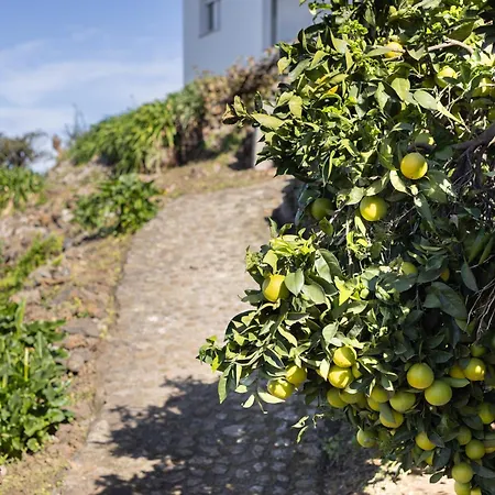 Ek Vistas El Milagro * La Orotava