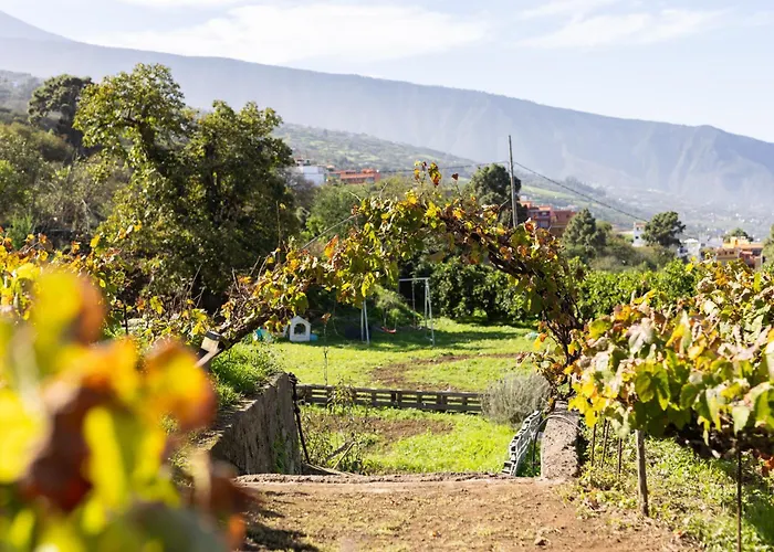 Ek Vistas El Milagro 拉奥罗塔瓦