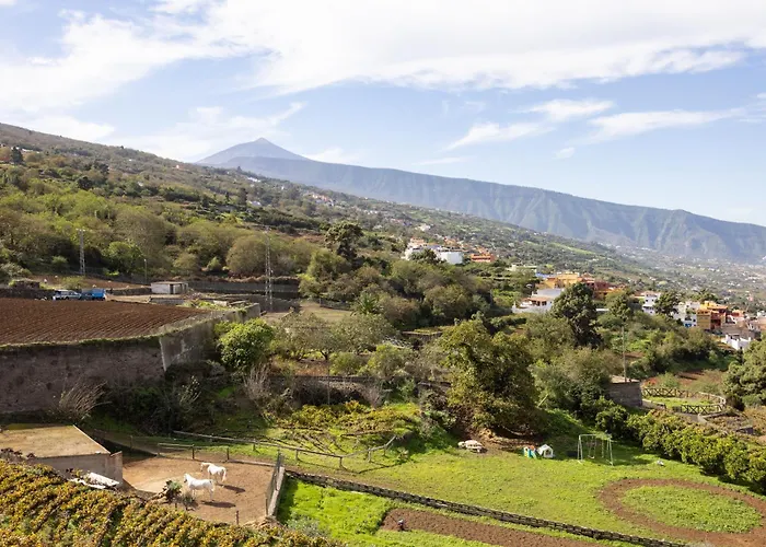 Ek Vistas El Milagro *