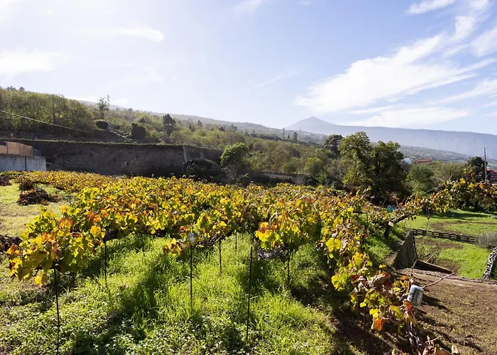 Ek Vistas El Milagro 公寓