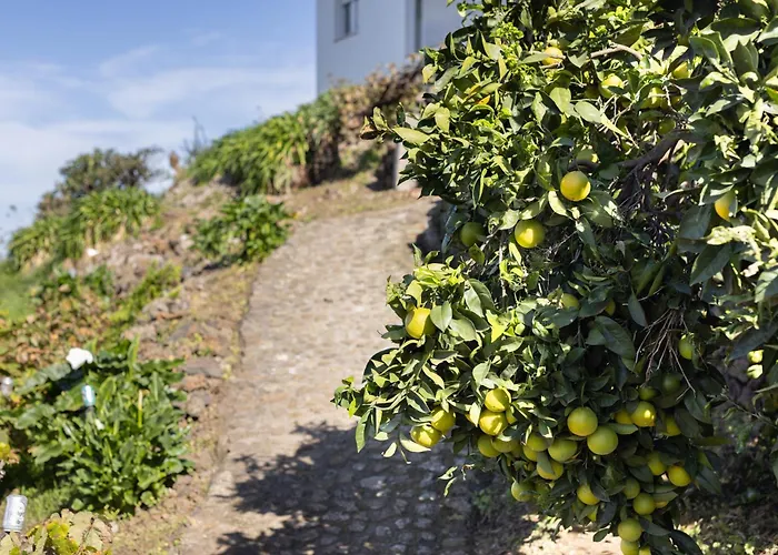 Ek Vistas El Milagro * 拉奥罗塔瓦